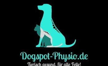 Tierphysiotherapie und Ernährungsberatung für Hund und Katze Kerpen Sindorf / dogspot-physio.de