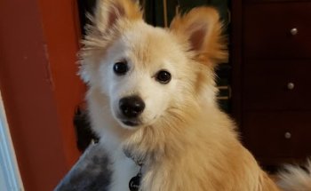 Physical Medicine Rehab Center