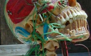 Lake Havasu Chiropractic