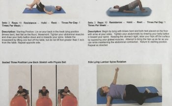 Optimal Performance & Physical Therapies-Mid Pinellas