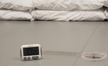 Anthony LaSorsa Physical Therapy