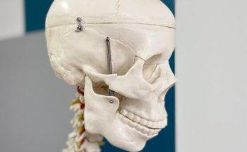 Gesundheitspraxis Silke Kronemeyer