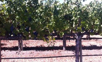 Kimberly Mathews Massage Therapy