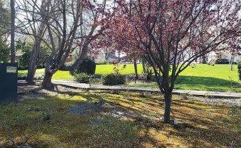 Pleasanton Nursing and Rehabilitation Center