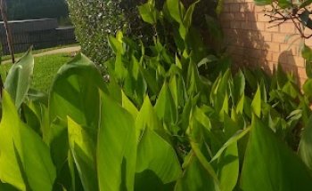 Highland Pines Nursing and Rehabilitation Center