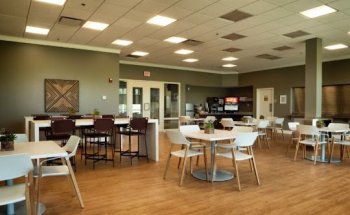 Silver Maple Recovery