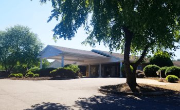 Forest Health and Rehab