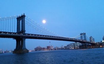 Manhattan Orthopaedic & Sports Therapy