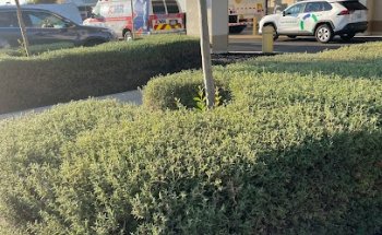 Kaiser Permanente Manteca Medical Center