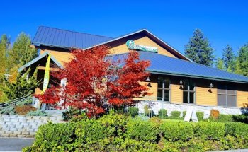 Northsound Physical Therapy - Lake Stevens