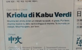 Brigham and Women’s Hospital Rehabilitation Services (Physical Therapy, Occupational Therapy, and Speech Therapy)