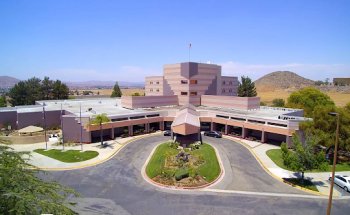 Global Medical Detox