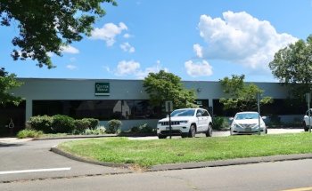 Brian T. Williams, MS, PT