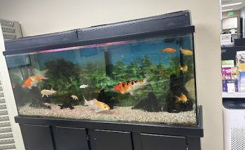 Garfield Health Center