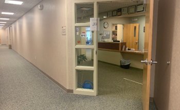 Apple Therapy Services