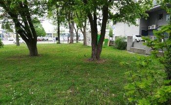 Herr Reinhold Hermann