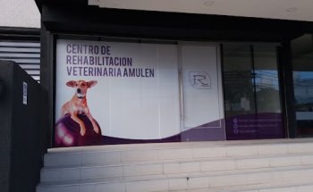 Centro de Rehabilitación Veterinaria AMULEN