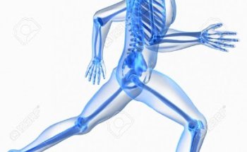 Total Orthopedics, Physical Therapy and Sports Rehabilitation