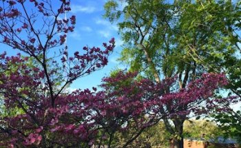 Stone Rehabilitation & Senior Living