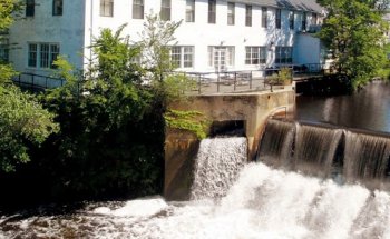 Newton Chiropractic & Wellness Centre