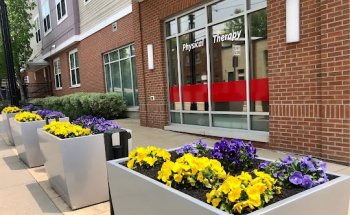 Boston Sports Medicine Physical Therapy Watertown