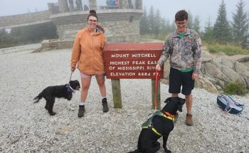 CORA Physical Therapy University