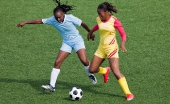 CT Sports Physical Therapy and Wellness