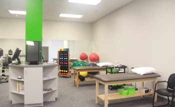 Theory Physical Therapy