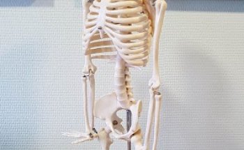 Medisch Trainingscentrum De Viergang