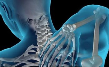 Poelking Chiropractic Wellness & Physical Therapy, Inc.