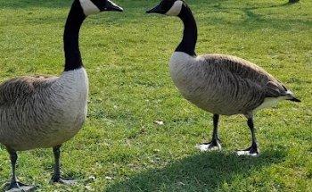 Centre d'Hébergement