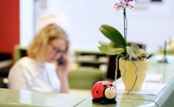 Physiotherapie Mariola Czapla