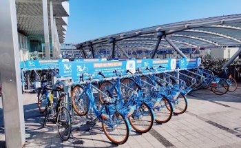 Blue-bike Sint-Niklaas