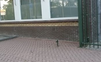 Fysiotherapie de Brug