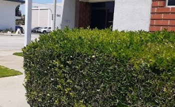 Hand And Orthopedics Center