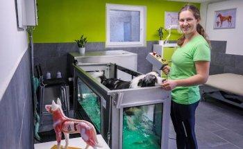 Praxis für Hundephysiotherapie und Osteopathie Canine Motion