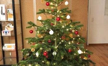 Rehazentrum Ahrensburg Physiotherapie & Medizinisches Trainingszentrum