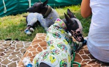 Praxis Equusworld Jasmin Hochfeld