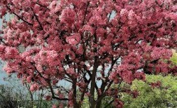 Reusch & Rudolph Gemeinschaftspraxis für Physiotherapie