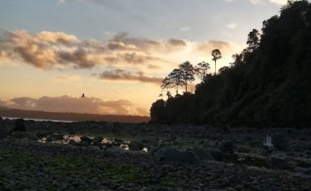 Informacion y Guías Turísticos(as) Ancud Chiloe