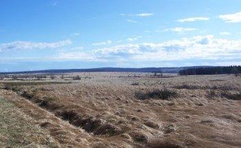 Joachim Fischer Krankengymnastik-Praxis