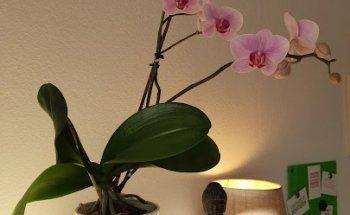 Praxis für Physiotherapie am Aubach | René Gebauer