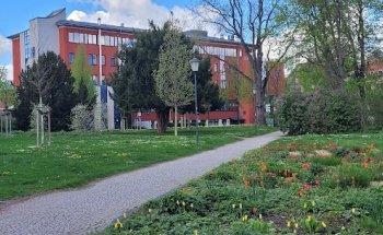 Marienstift Arnstadt -Orthopädische Klinik- Abteilung für Anästhesie