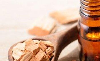 Pro Therapie Ansgar Kehrer