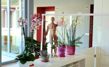 Physiotherapie PhysioVital