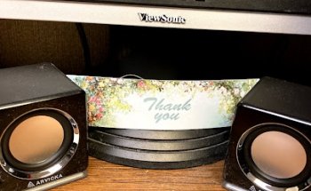 North Area Physical Therapy