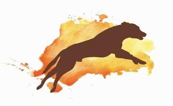 TIERphysiotherapie Lebenskraft