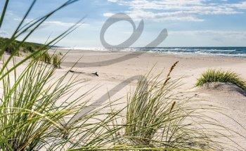 Wolfgang Bauer Praxis für Naturheilkunde und Osteopathie