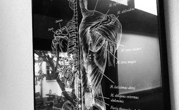 Physiotherapie Gremillion