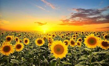 Physiotherapie Min Boyé